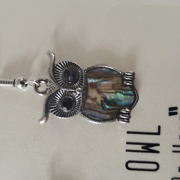 Owl "Be Wise" Silver earrings - Picture 4 of 5